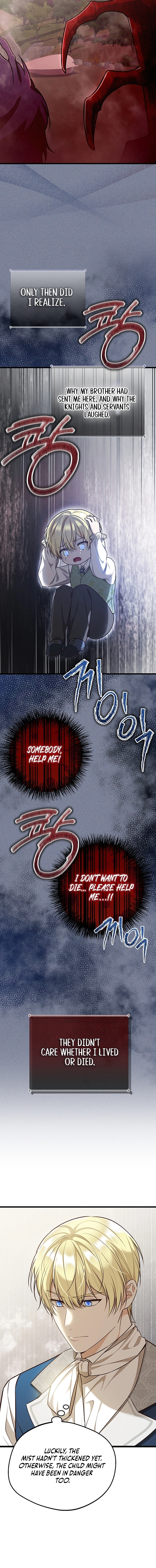 73504968 800 8025 1931312